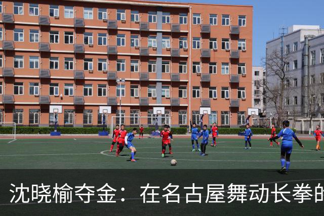 沈晓榆夺金：在名古屋舞动长拳的奇迹时刻